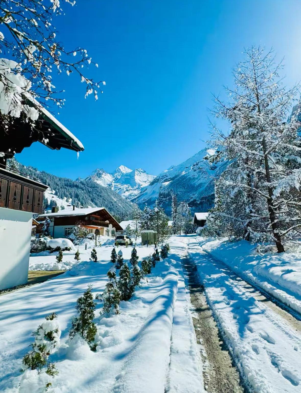 Cute & Cozy Oasis, Private Afternoon Sun Terrace Apartman Kandersteg Kültér fotó